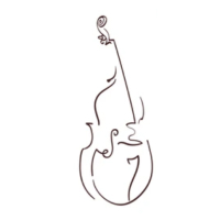 Bass Lessons in boulder